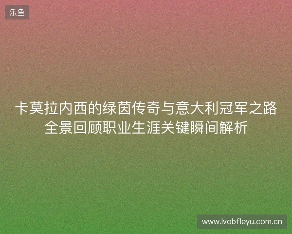 卡莫拉内西的绿茵传奇与意大利冠军之路全景回顾职业生涯关键瞬间解析