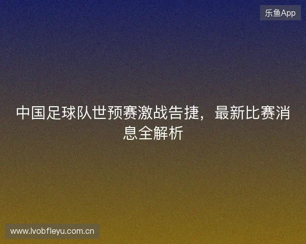 中国足球队世预赛激战告捷，最新比赛消息全解析